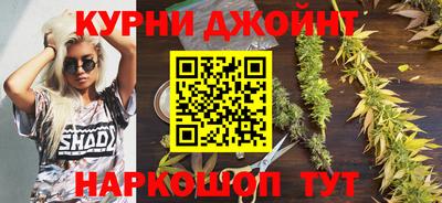 МДПВ Ливны