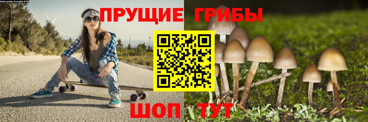 Янаул  Псилоцибиновые грибы мухоморы  Вход с VPN 